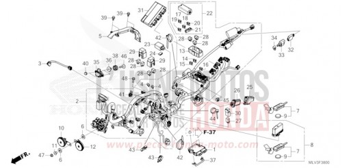 FAISCEAU DES FILS/APPAREIL INTELLIGENT CB1000ST de 2026